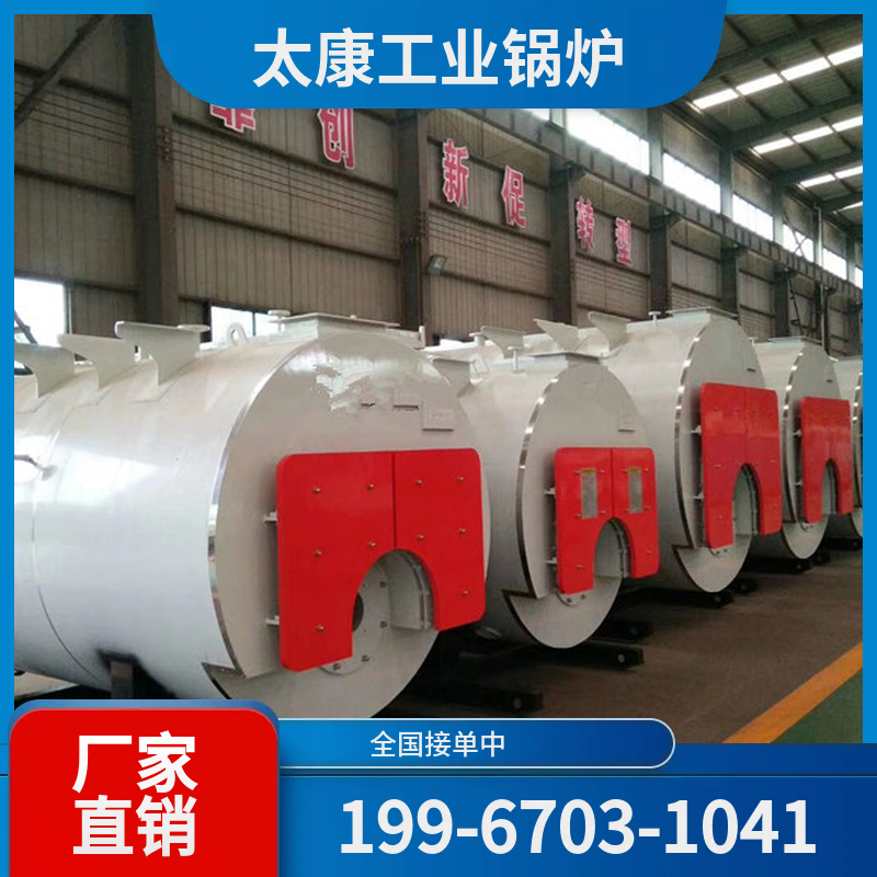 汕尾燃气蒸汽锅炉
